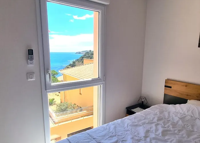 Appartement T4 Climatise Avec Parking A 2 Pas De La - Fr-1-309-359 *