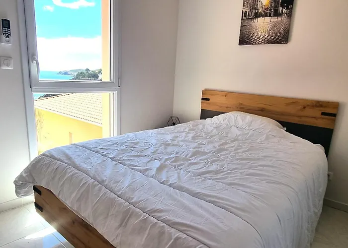 Appartement T4 Climatise Avec Parking A 2 Pas De La - Fr-1-309-359 *
